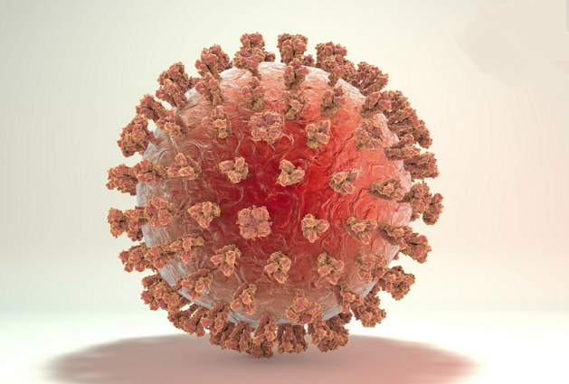HPV阳性是什么意思？